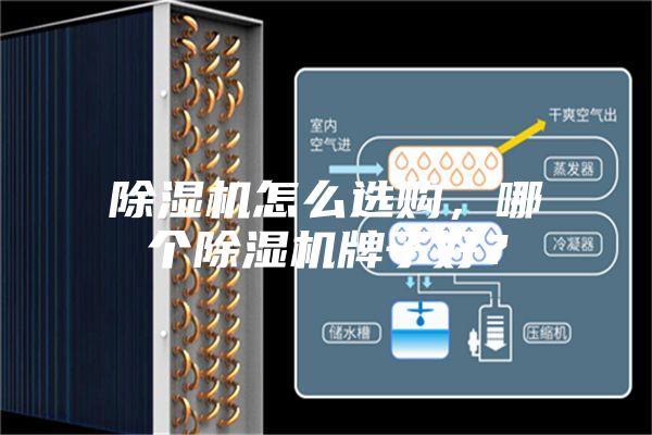 除濕機(jī)怎么選購，哪個(gè)除濕機(jī)牌子好？