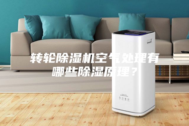 轉輪除濕機空氣處理有哪些除濕原理?