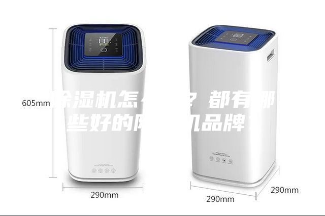 除濕機怎么選?都有哪些好的除濕機品牌?
