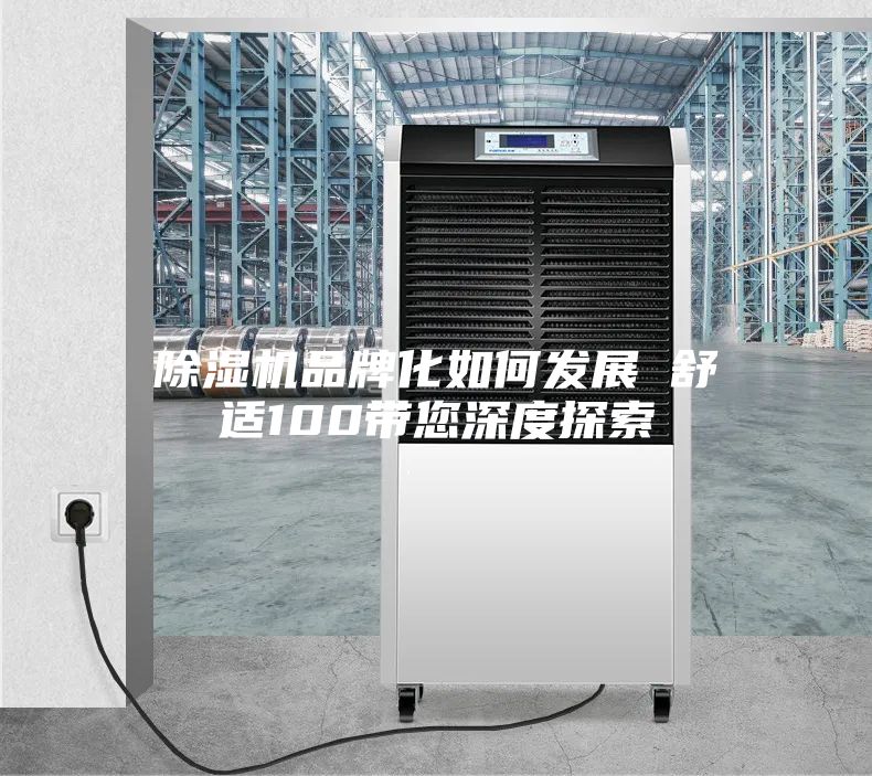 除濕機(jī)品牌化如何發(fā)展 舒適100帶您深度探索