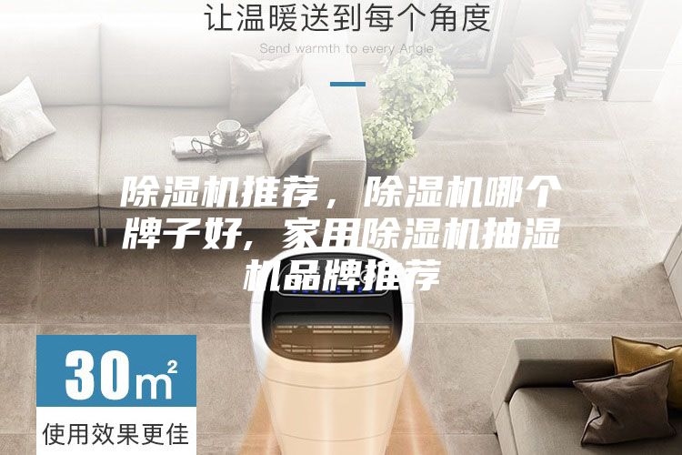 除濕機推薦,除濕機哪個牌子好, 家用除濕機抽濕機品牌推薦