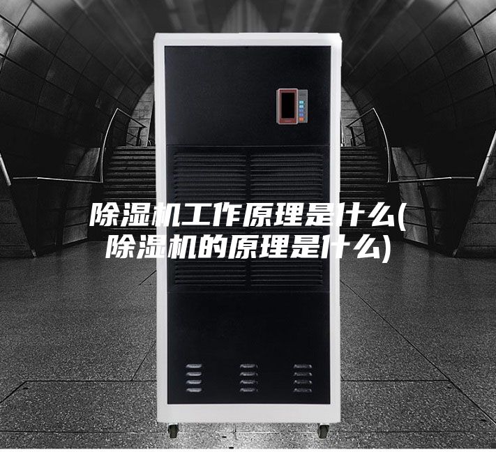 除濕機工作原理是什么(除濕機的原理是什么)