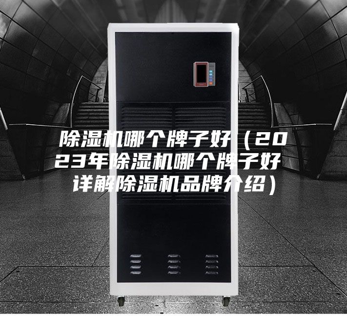除濕機(jī)哪個(gè)牌子好(2023年除濕機(jī)哪個(gè)牌子好 詳解除濕機(jī)品牌介紹)
