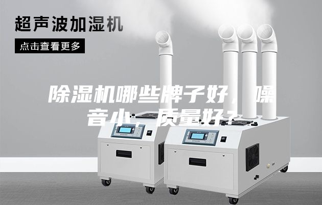 除濕機(jī)哪些牌子好,噪音小,質(zhì)量好?