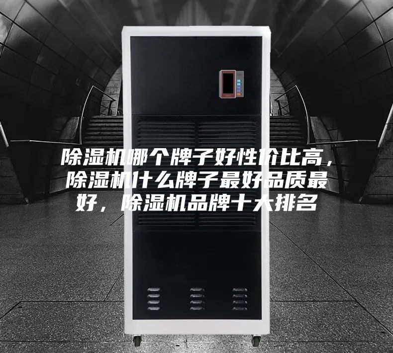 除濕機(jī)哪個(gè)牌子好性價(jià)比高，除濕機(jī)什么牌子最好品質(zhì)最好，除濕機(jī)品牌十大排名