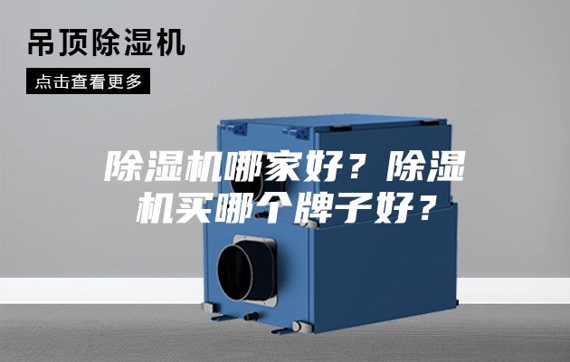 除濕機(jī)哪家好?除濕機(jī)買哪個牌子好?