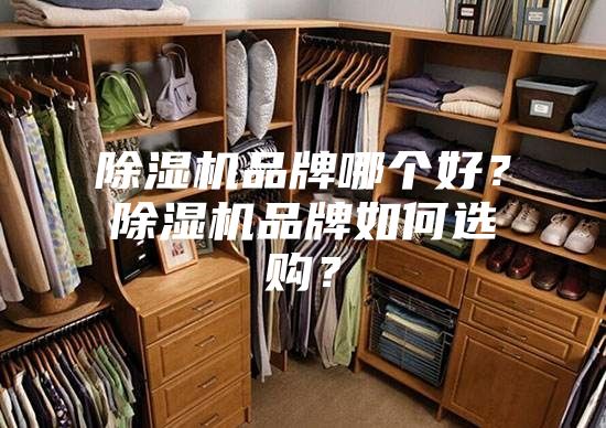 除濕機品牌哪個好？除濕機品牌如何選購？