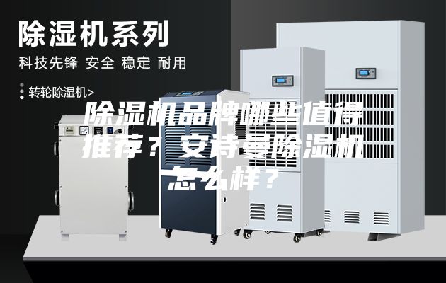 除濕機品牌哪些值得推薦？安詩曼除濕機怎么樣？