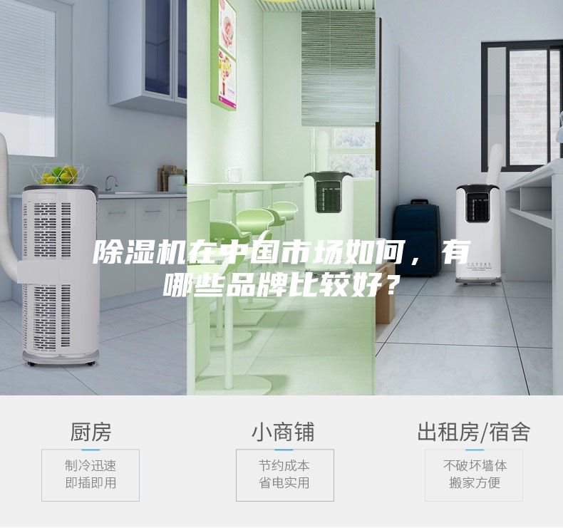 除濕機(jī)在中國市場如何，有哪些品牌比較好？