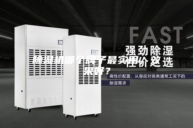 除濕機哪個牌子最實用,效果好?