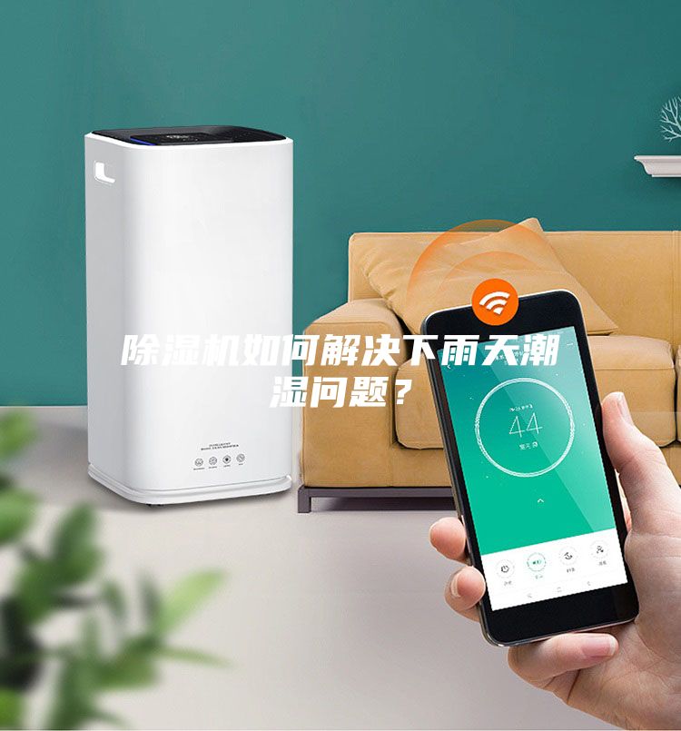 除濕機如何解決下雨天潮濕問題?