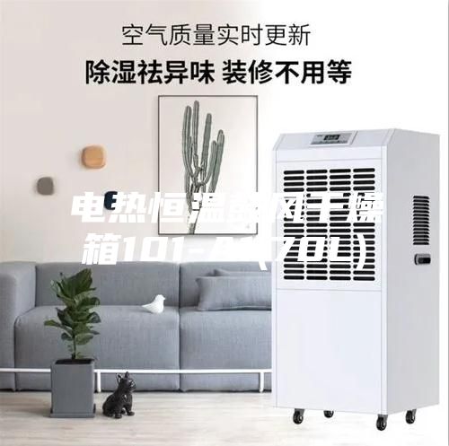 電熱恒溫鼓風干燥箱101-A1(70L)