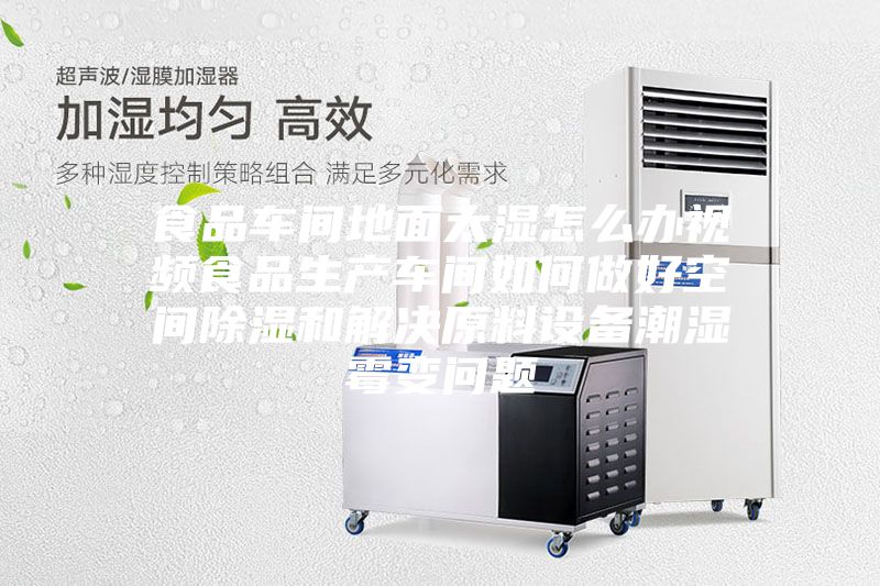 食品車間地面太濕怎么辦視頻食品生產車間如何做好空間除濕和解決原料設備潮濕霉變問題