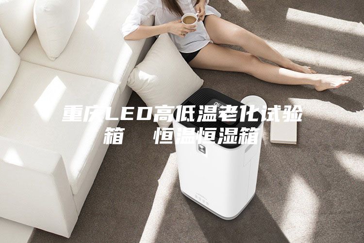 重慶LED高低溫老化試驗箱 恒溫恒濕箱