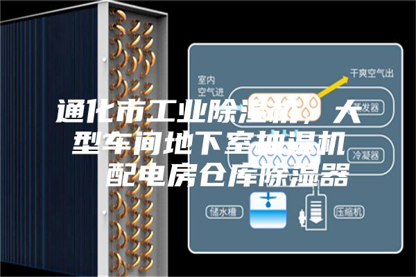 通化市工業(yè)除濕機(jī),大型車間地下室抽濕機(jī) 配電房倉庫除濕器