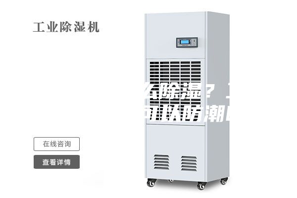 配電房怎么除濕?工業除濕機可以防潮嗎