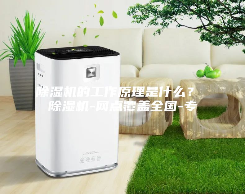 除濕機的工作原理是什么？ 除濕機-網點覆蓋全國-專