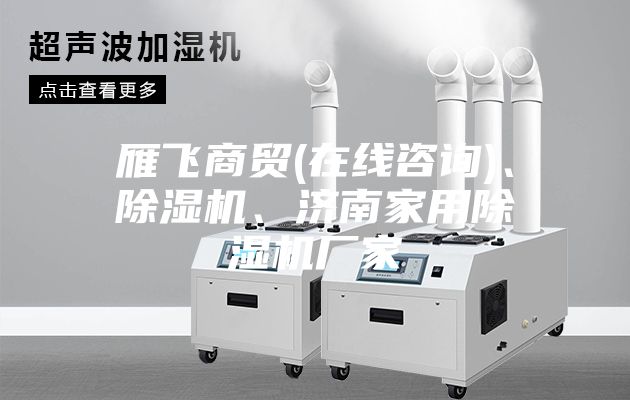 雁飛商貿(mào)(在線咨詢)、除濕機(jī)、濟(jì)南家用除濕機(jī)廠家