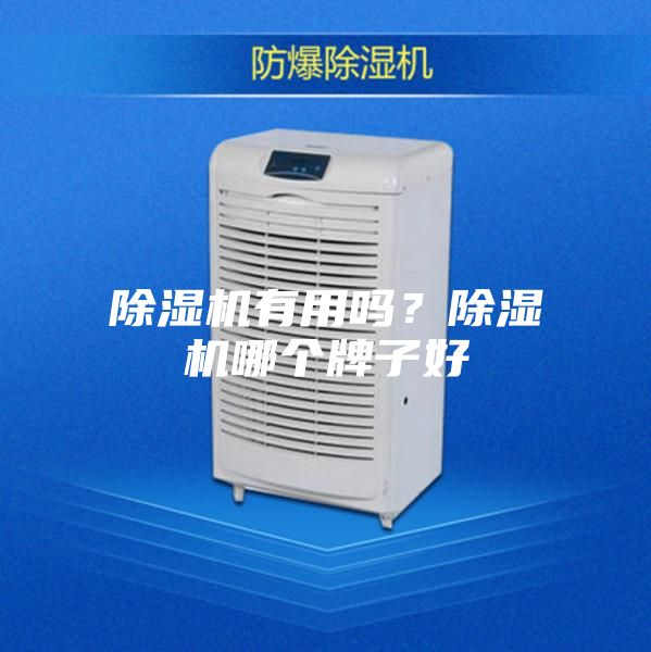 除濕機有用嗎？除濕機哪個牌子好