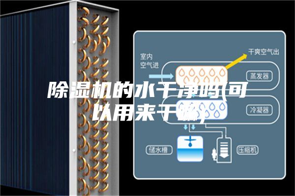 除濕機(jī)的水干凈嗎(可以用來干嘛)