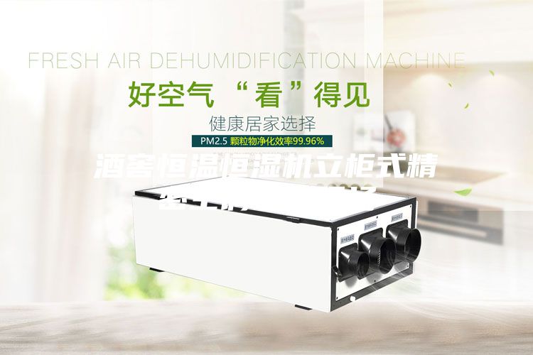 酒窖恒溫恒濕機立柜式精密空調設備現場