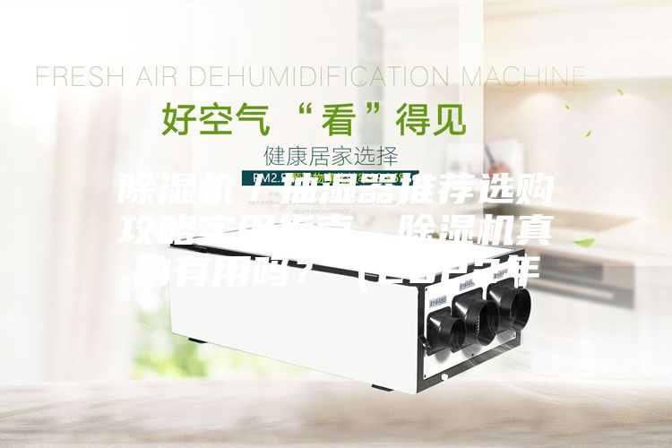 除濕機/抽濕器推薦選購攻略實用指南,除濕機真的有用嗎?(2022年