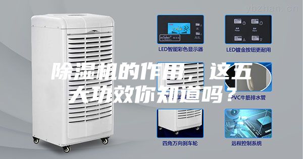 除濕機的作用，這五大功效你知道嗎？