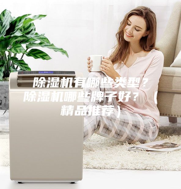 除濕機有哪些類型？除濕機哪些牌子好？（精品推薦）