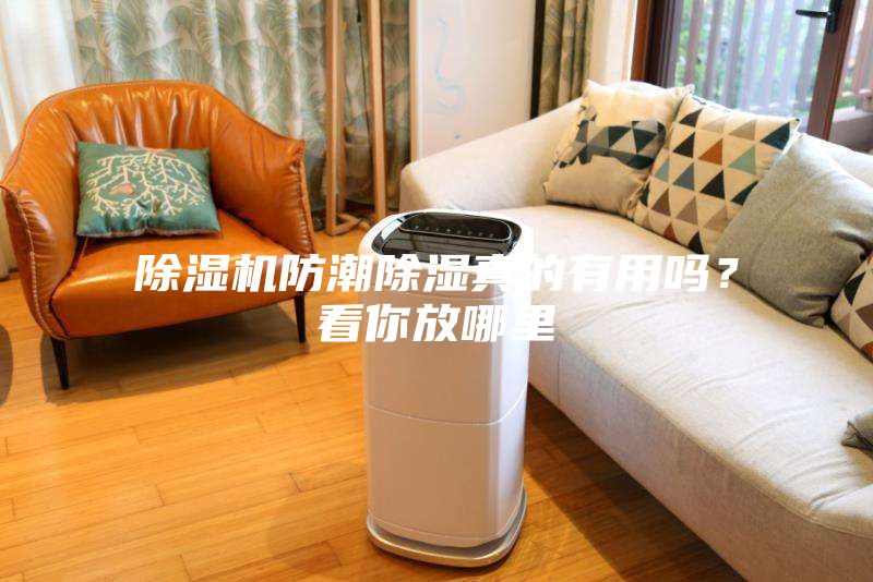 除濕機(jī)防潮除濕真的有用嗎?看你放哪里