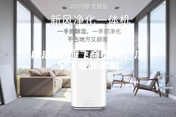 除濕機 雁飛商貿(圖) 濟寧工業除濕機