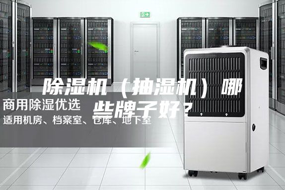 除濕機（抽濕機）哪些牌子好？