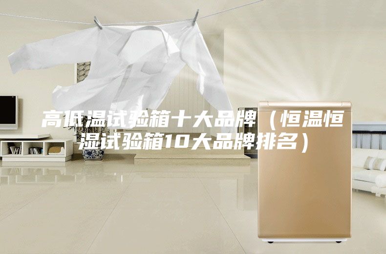 高低溫試驗(yàn)箱十大品牌(恒溫恒濕試驗(yàn)箱10大品牌排名)
