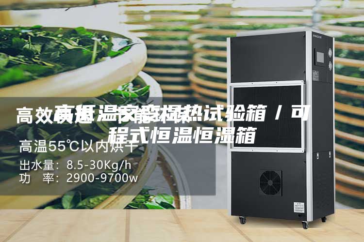 高低溫交變濕熱試驗箱/可程式恒溫恒濕箱