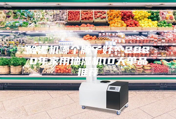 除濕機哪個牌子好？2020年家用抽濕機10大單品推薦