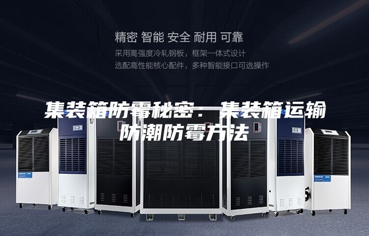 集裝箱防霉秘密：集裝箱運輸防潮防霉方法