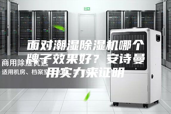面對潮濕除濕機哪個牌子效果好?安詩曼用實力來證明