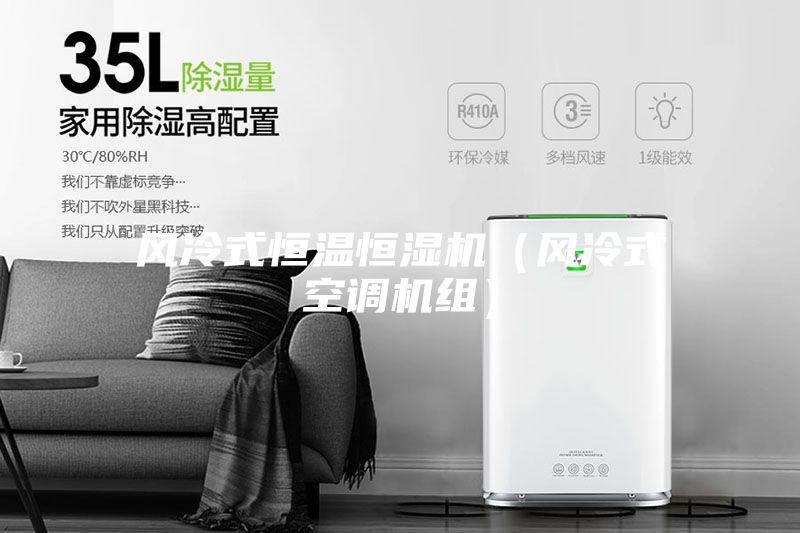 風(fēng)冷式恒溫恒濕機(jī)(風(fēng)冷式空調(diào)機(jī)組)