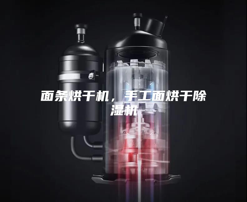 面條烘干機,手工面烘干除濕機