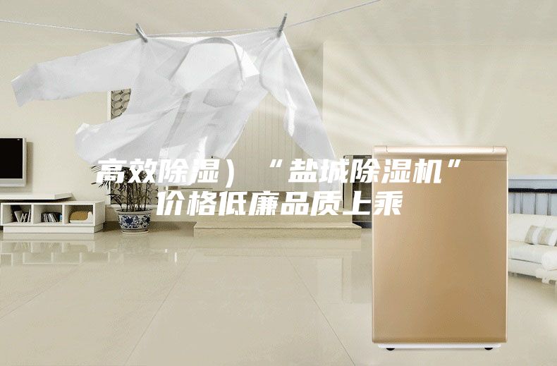 高效除濕）“鹽城除濕機”價格低廉品質上乘