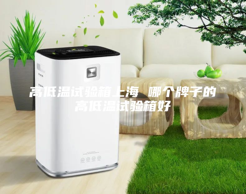 高低溫試驗箱上海 哪個牌子的高低溫試驗箱好
