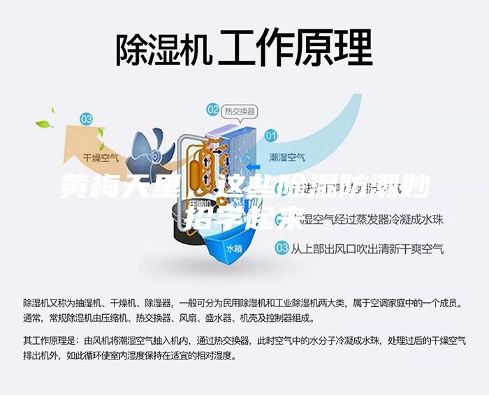 黃梅天里，這些除濕防潮妙招學(xué)起來